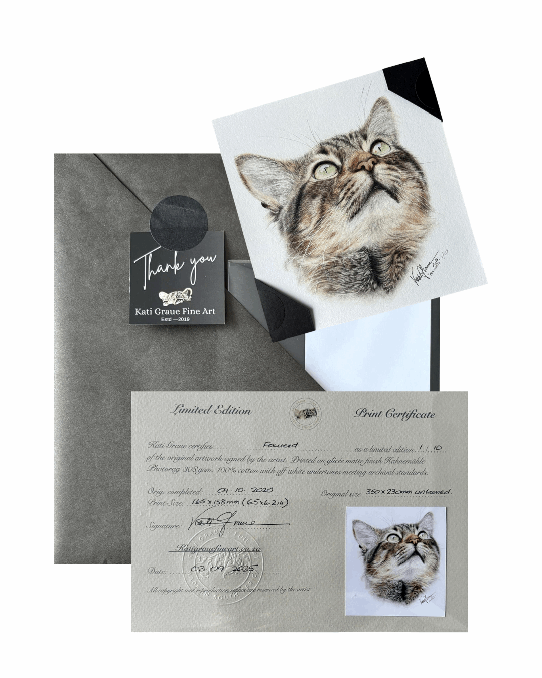 Cat-themed art print with envelope and certificate on a white background
