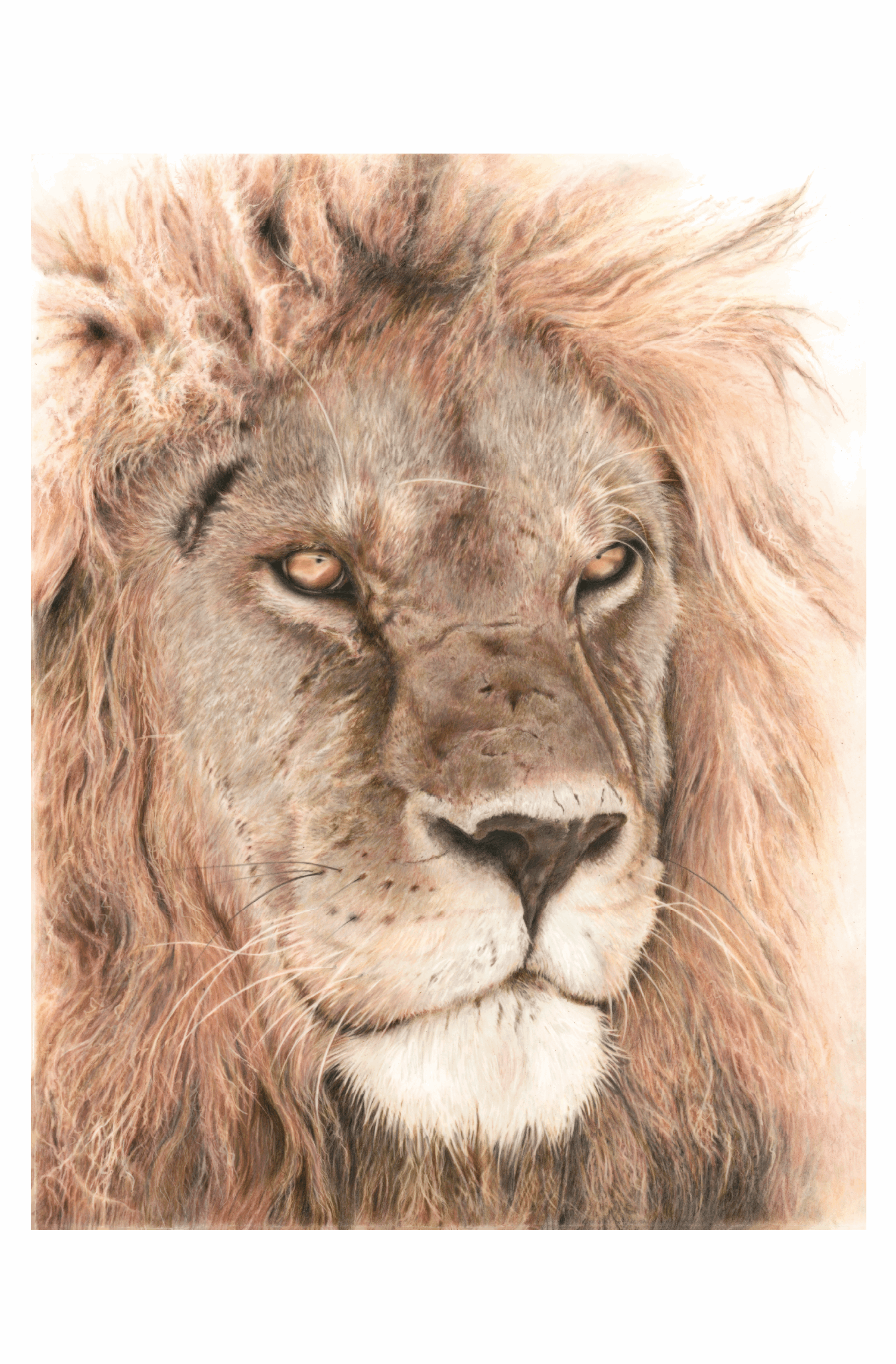 Eyes of Storm | Art Print