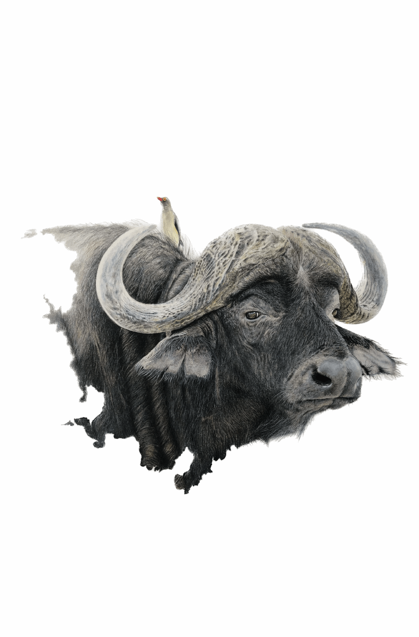 Mutual Benefit | Art Print