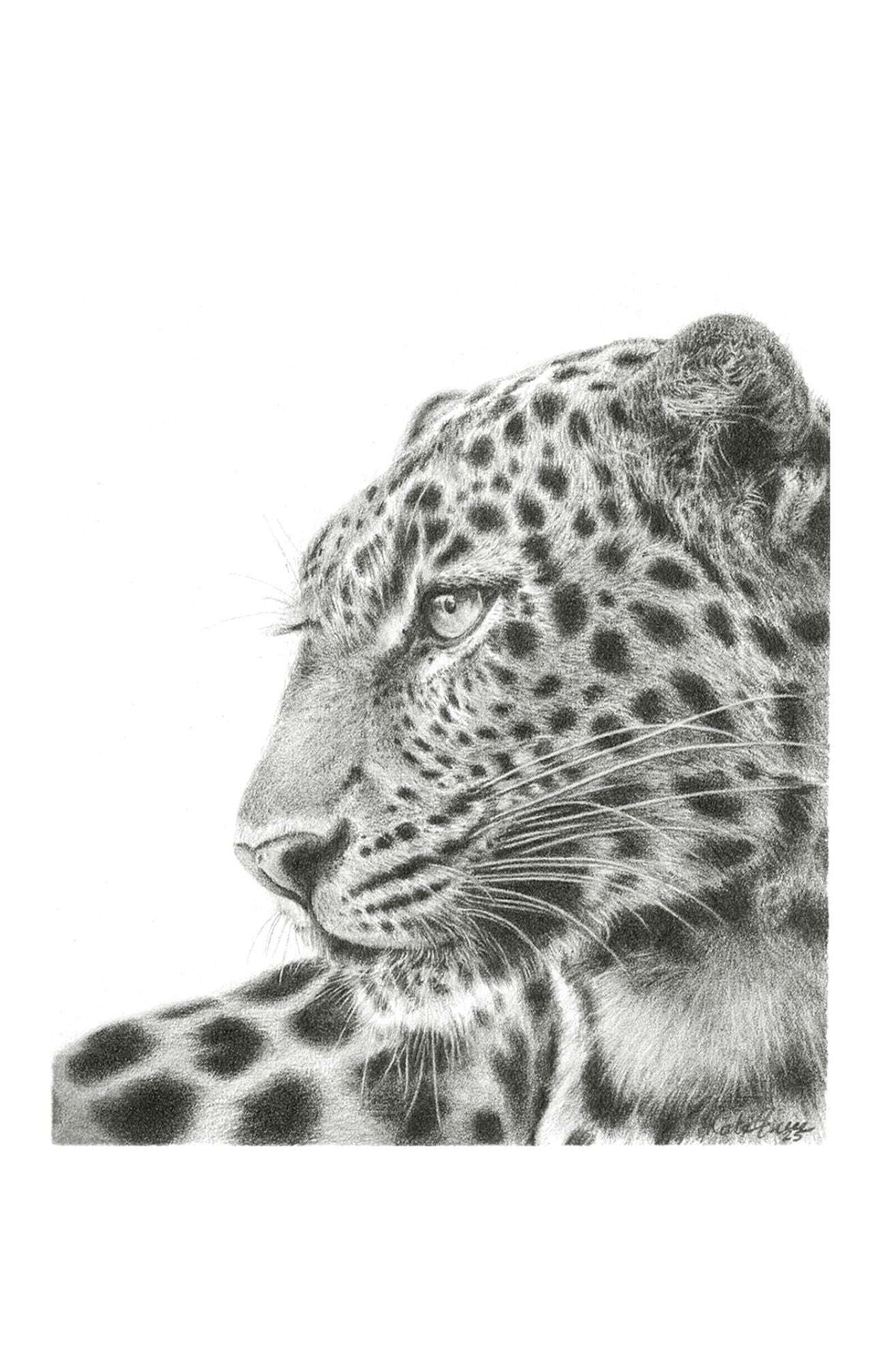 Panthera Pardus II | Miniature Artwork