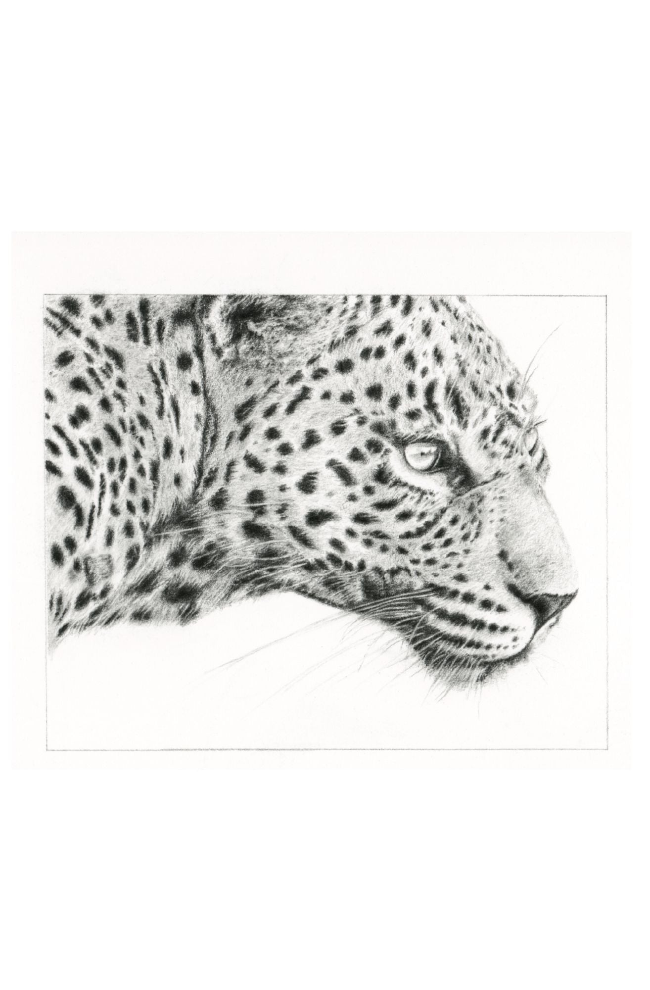 Panthera Pardus | Miniature Artwork