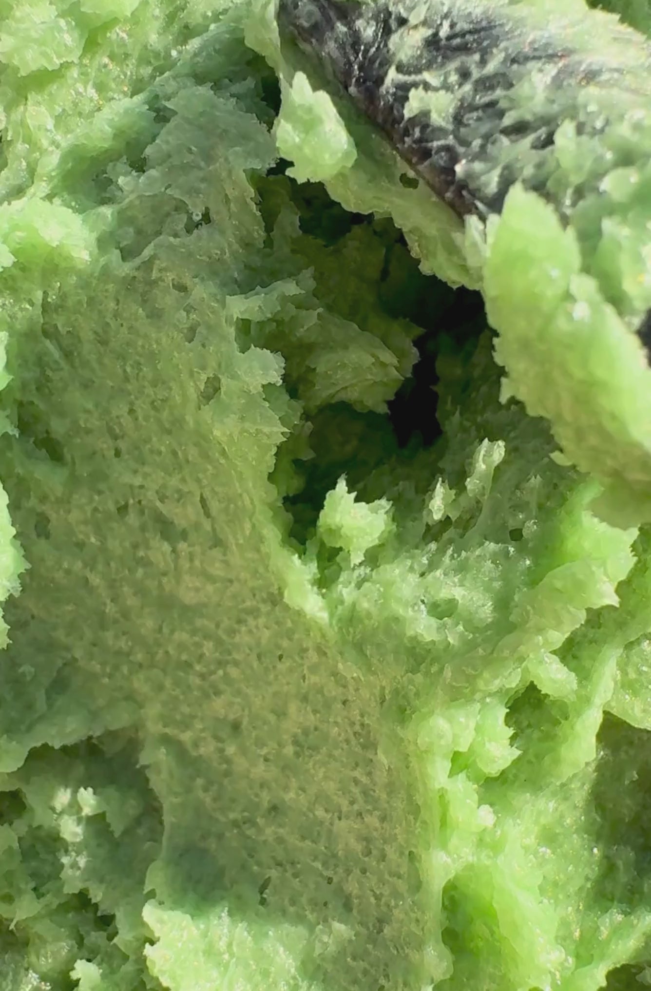 Video showing the texture of a green sugar scrub up close