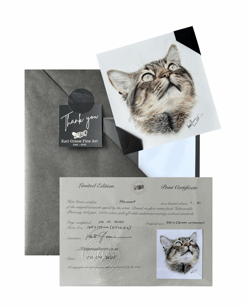 Cat-themed art print with envelope and certificate on a white background