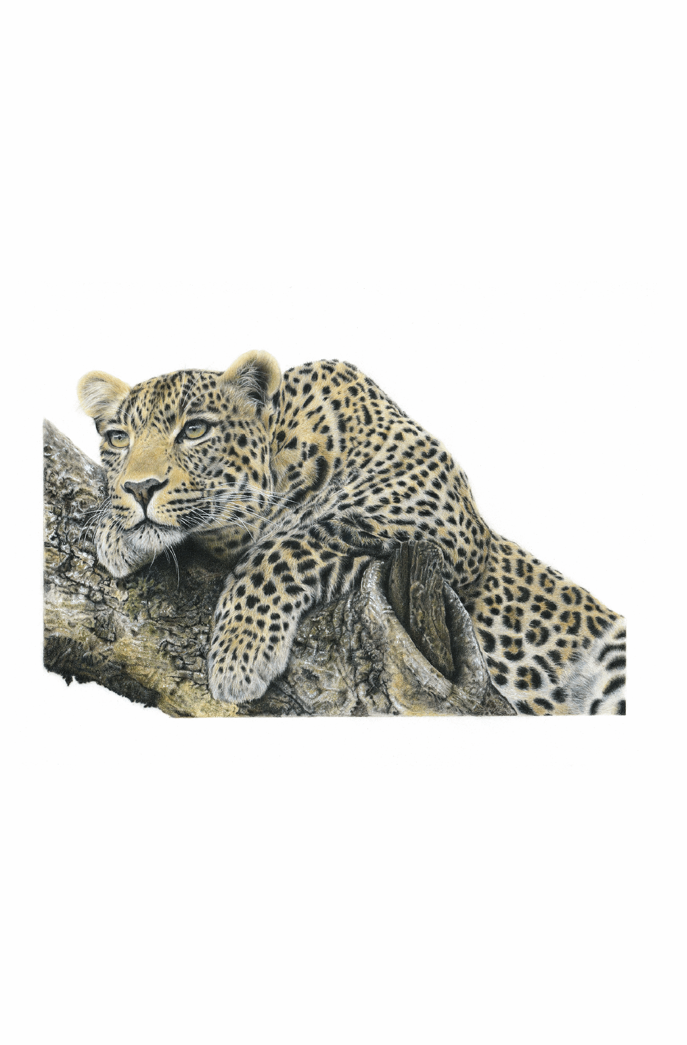 A view to a Kill | Art Print