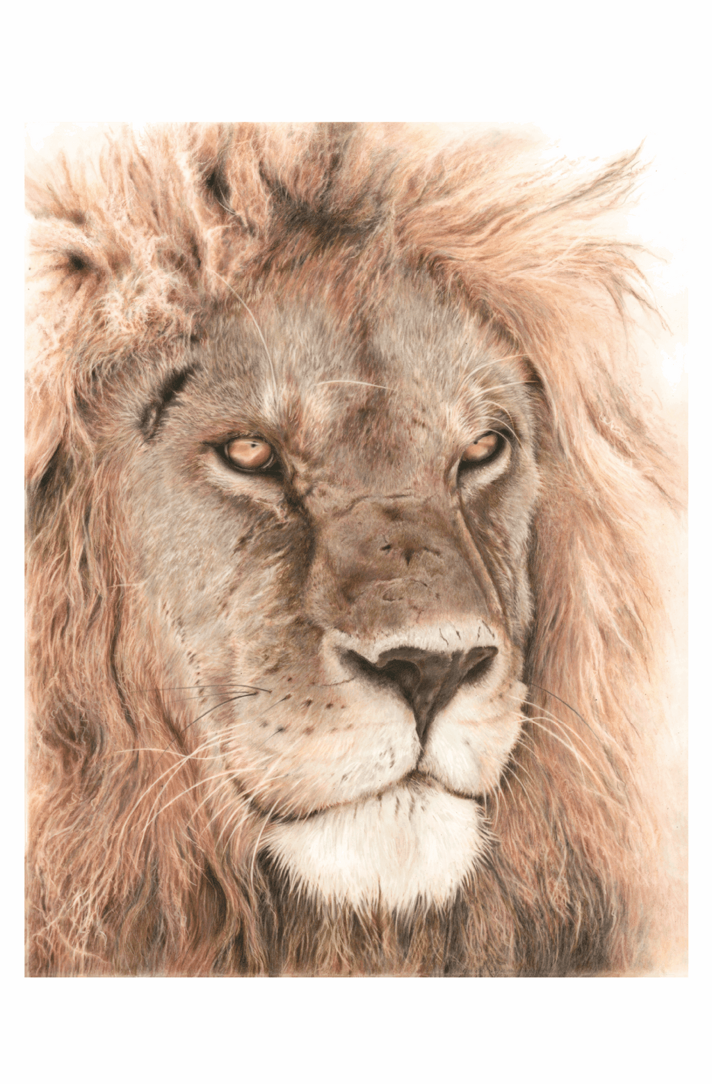 Eyes of Storm | Art Print