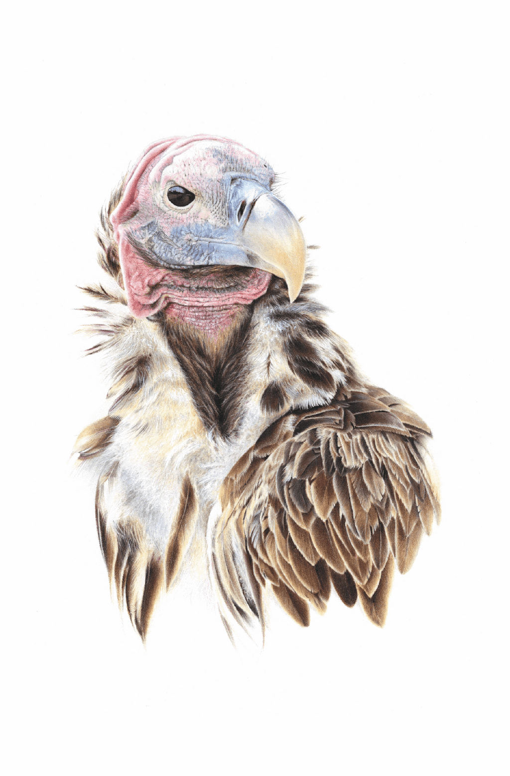 Inqè the Purifier | Art Print