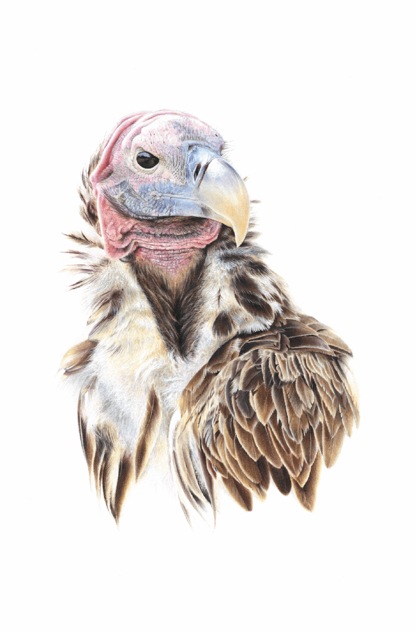 Inqè the Purifier | Art Print