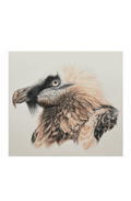Mountain Monarch | Art Print