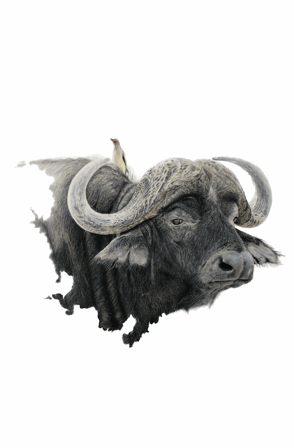 Mutual Benefit | Art Print