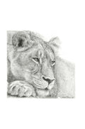 Panthera Leo | Miniature Artwork