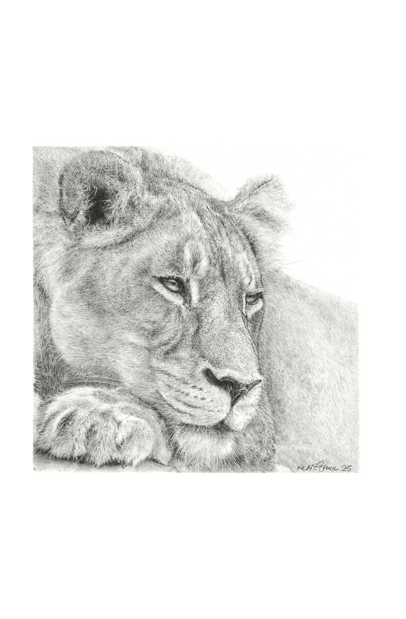 Panthera Leo | Miniature Artwork