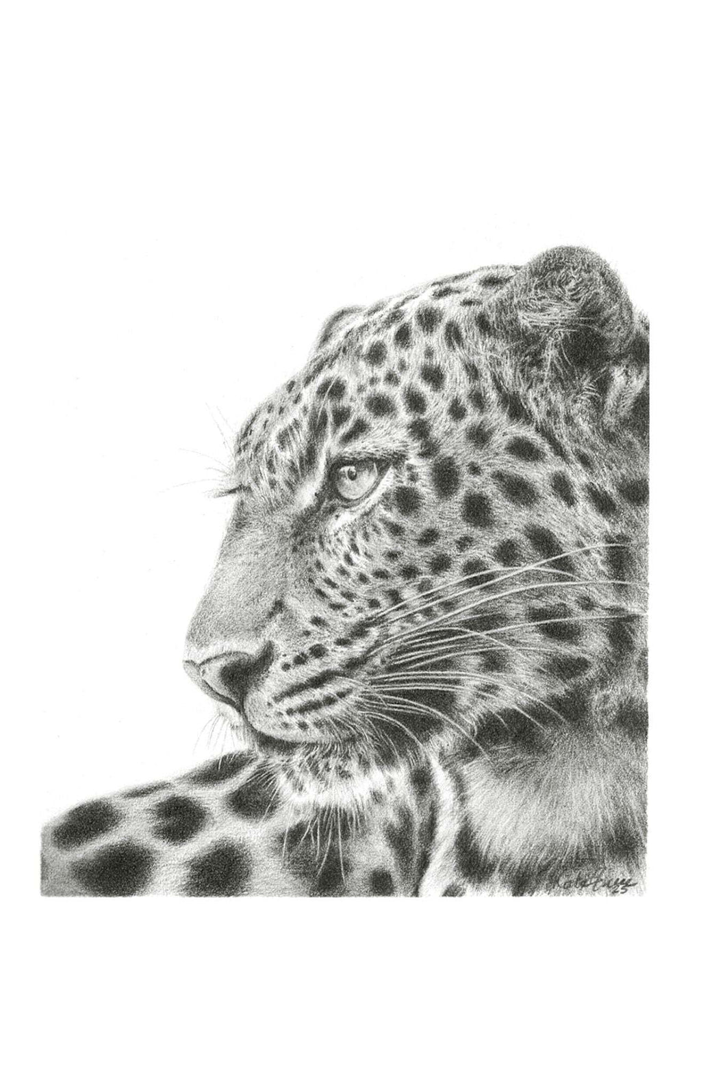 Panthera Pardus II | Miniature Artwork