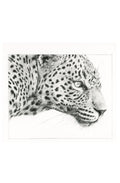 Panthera Pardus | Miniature Artwork