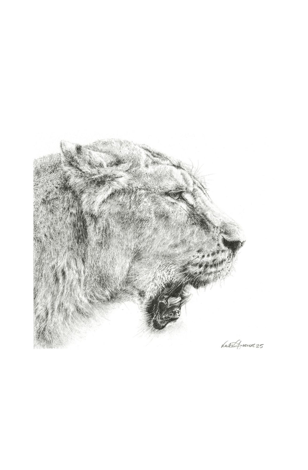 Miniature Art Prints