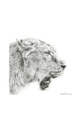 Panthera Leo II | Miniature Artwork