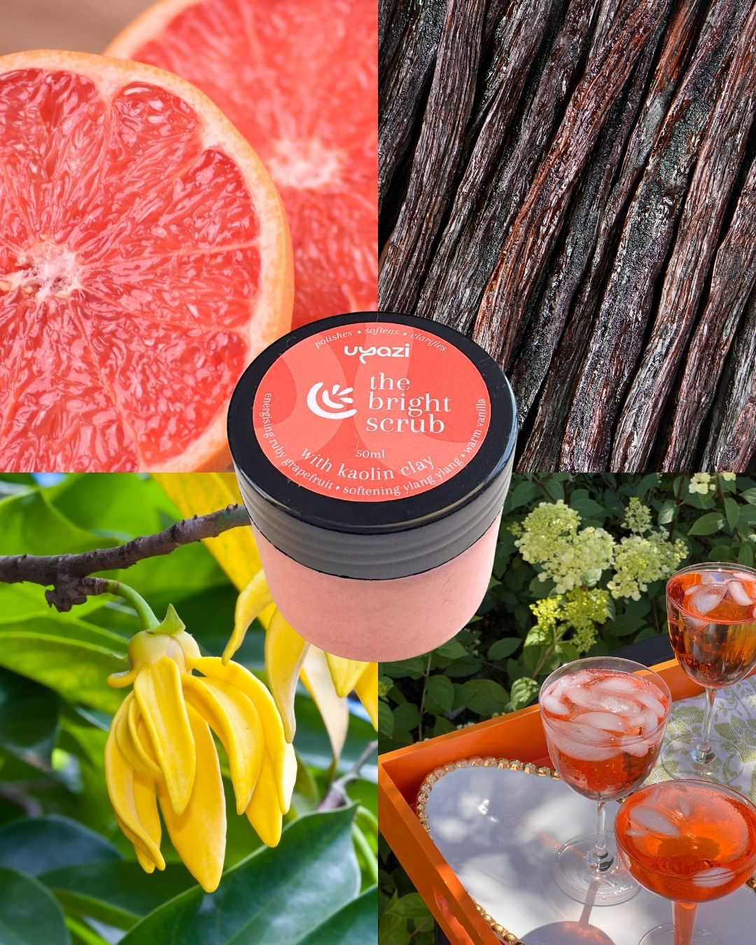 The Bright One - Sugar Scrub - 50ml