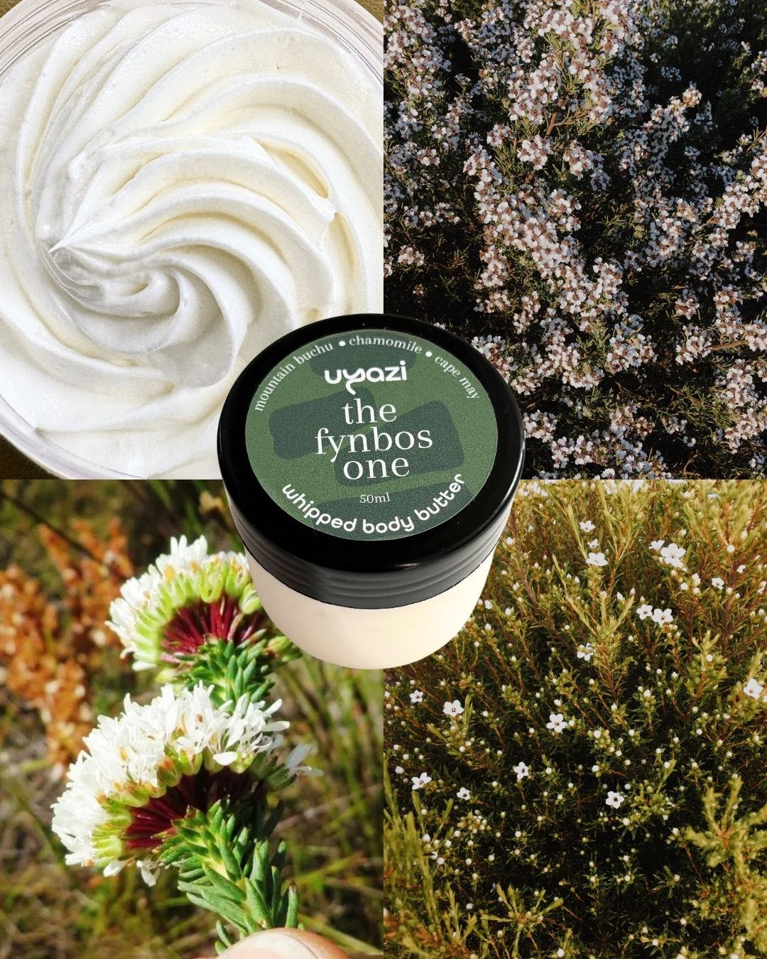 The Fynbos One - Whipped Body Butter 50ml