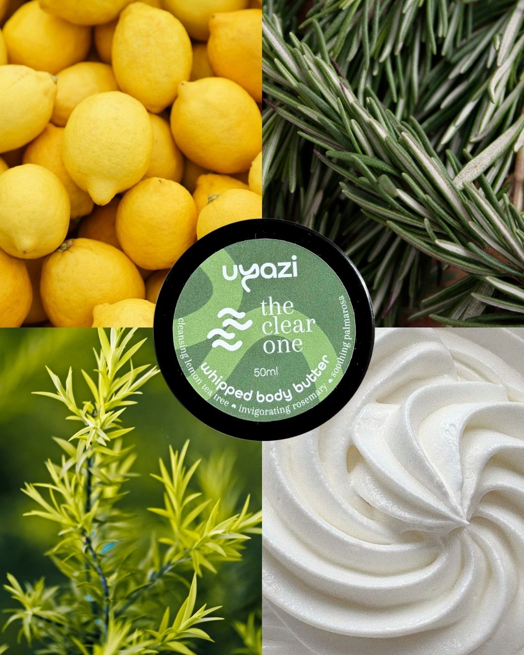 Discovery Set of 3 - Mini Whipped Body Butters